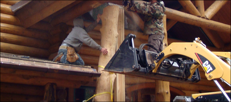 Log Home Log Replacement  Ross County, Ohio